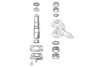 OCAP 0927392 Repair Kit, kingpin
